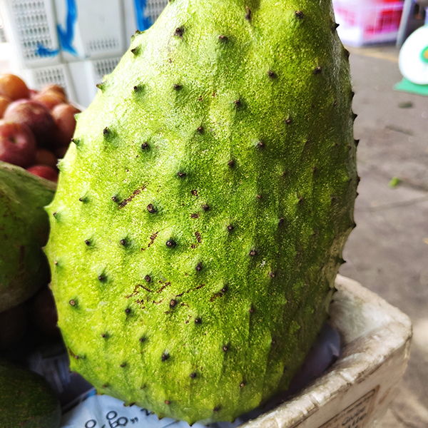 Mãng cầu gai